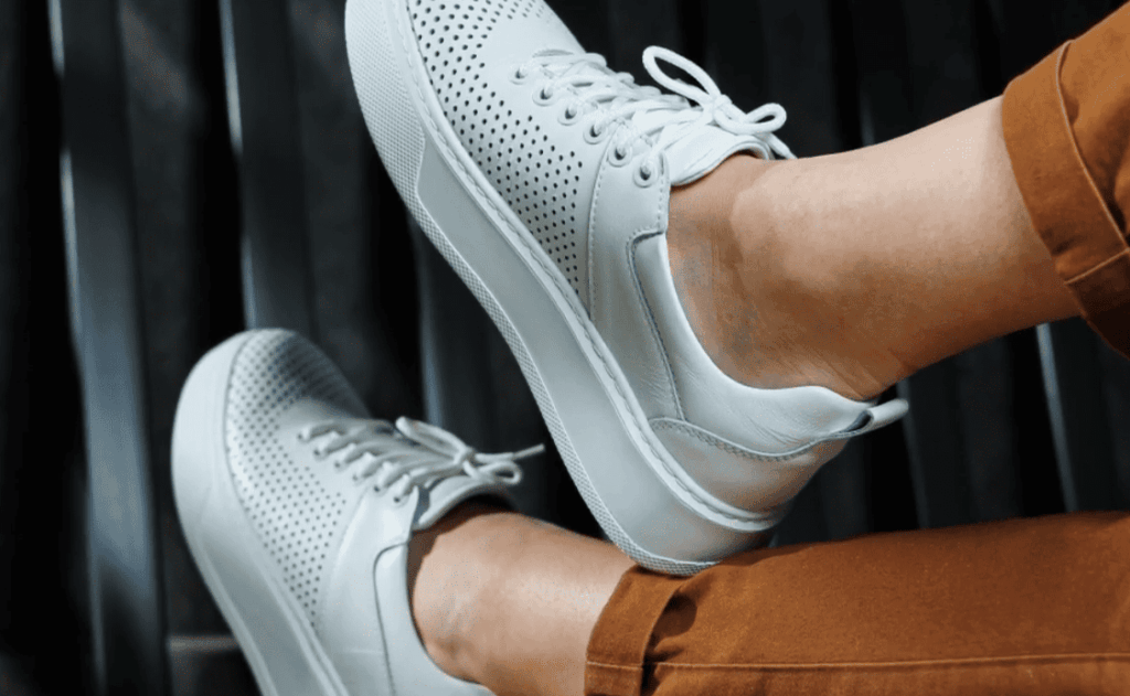 Introducción a la marca Corina